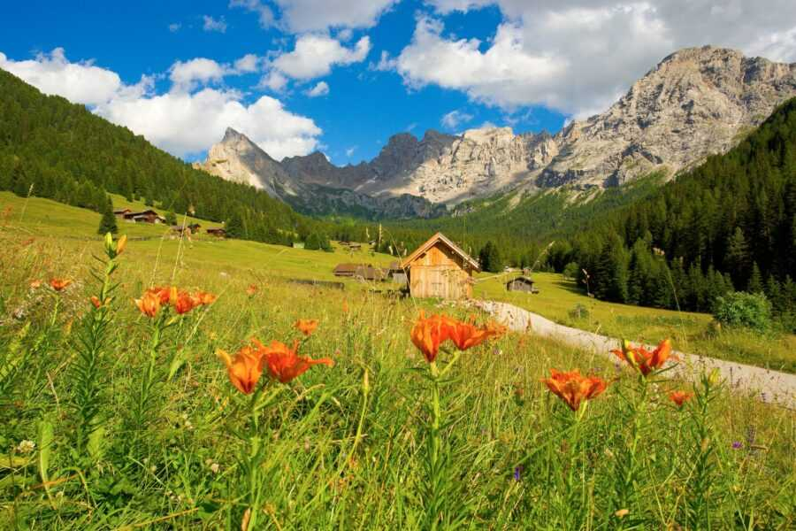 In cammino per la pace, sui sentieri della Grande Guerra