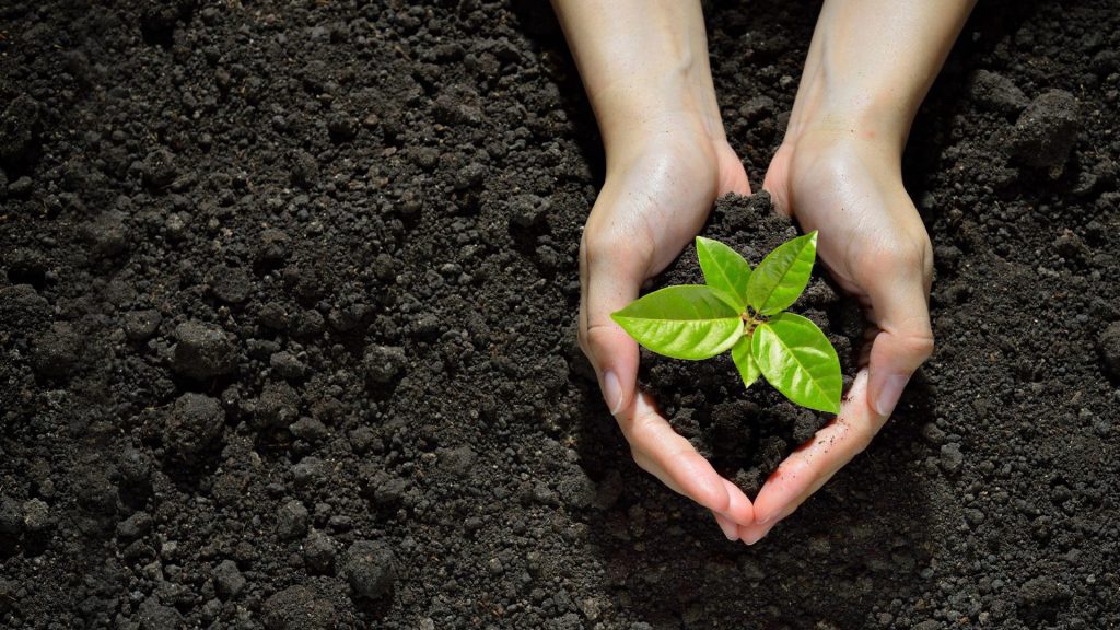 Laudato Si’, a sei anni dall’Enciclica la Chiesa trentina ne rilancia i temi. Rivedi il dibattito online (repliche in TV) con il lancio della prima Comunità LS